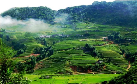 Ngắm mùa vàng Tây Bắc trong nắng thu